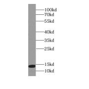 abx235001