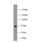 abx235918