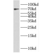 abx236745