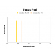 Fluorescence emission spectra of Texas Red.