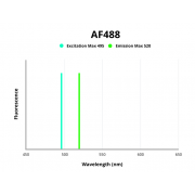 Fluorescence emission spectra of AF488.