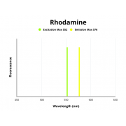 Fluorescence emission spectra of TRITC.