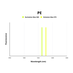 T-Cell Surface Glycoprotein CD4 (CD4) Antibody (PE)