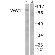 abx012888