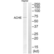 abx014143