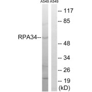 abx014431