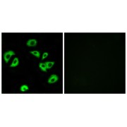 abx014552