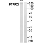abx014805
