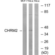abx015267