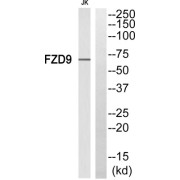 abx015286