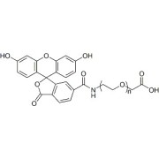 Chemical structure of FITC-PEG-COOH.