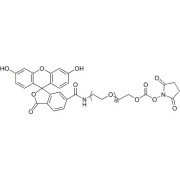 Chemical structure of FITC-PEG-NHS.