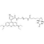 Chemical structure of RB-PEG-Biotin.