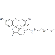 Chemical structure of mPEG-FITC.