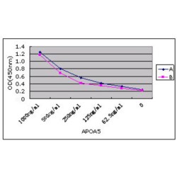 Apolipoprotein A-V (APOA5) Antibody