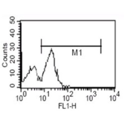 Cluster Of Differentiation 14 (CD14) Antibody