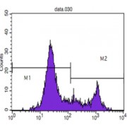 Flow cytometric analysis of blood T cells using CD8 antibody (M2) and negative control (M1).