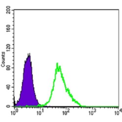Mitogen-Activated Protein Kinase Kinase 2 (MAP2K2) Antibody