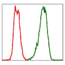 Lymphokine-Activated Killer T-Cell-Originated Protein Kinase (PBK) Antibody