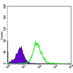 Interstitial Collagenase (MMP1) Antibody