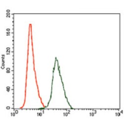 Rho GDP-Dissociation Inhibitor 1 (ARHGDIA) Antibody