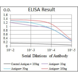 Integrin Alpha 4 (ITGA4) Antibody