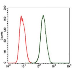 C-Reactive Protein (CRP) Antibody