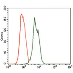 Ras-Related Protein Rab-4A (RAB4A) Antibody