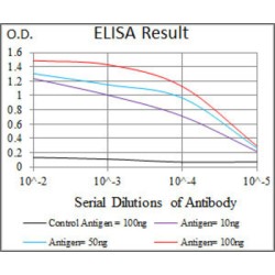 Transcription Factor Spi-B (SPIB) Antibody