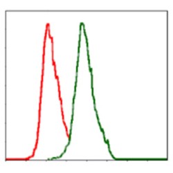 Alkaline Phosphatase, Tissue-Nonspecific Isozyme (ALPL) Antibody