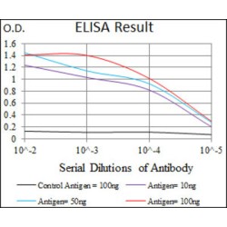 CD59 Glycoprotein (CD59) Antibody