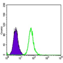 Dickkopf-Related Protein 3 (DKK3) Antibody