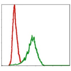 Protein Delta Homolog 1 (DLK1) Antibody