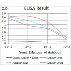 Undifferentiated Embryonic Cell Transcription Factor 1 (UTF1) Antibody