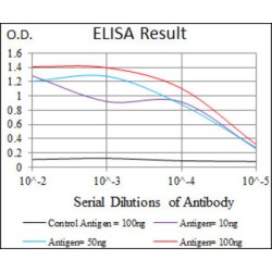 Aldehyde Dehydrogenase, Mitochondrial (ALDH2) Antibody