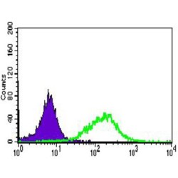 Intestinal-Type Alkaline Phosphatase / IAP (ALPI) Antibody