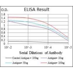 Cluster of Differentiation 24 (CD24) Antibody