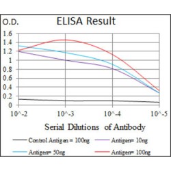 Pancreastatin/Chromogranin A (CHGA) Antibody