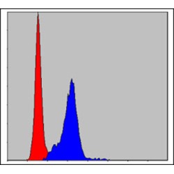 Adapter Molecule Crk (CRK) Antibody