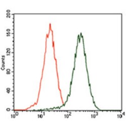 Chondroitin Sulfate Proteoglycan 4 (CSPG4) Antibody