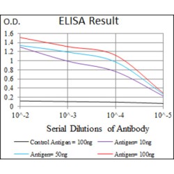 Dickkopf-Related Protein 3 (DKK3) Antibody