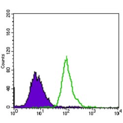 EGFR mutant Antibody