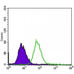 EGFR mutant Antibody