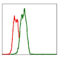 TNF Receptor Superfamily Member 6 / CD95 / TNFRSF6 (FAS) Antibody