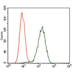 Glypican 3 (GPC3) Antibody