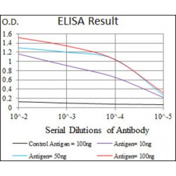 Guanylate Cyclase 1 Soluble Subunit Alpha 1 (GUCY1A1) Antibody