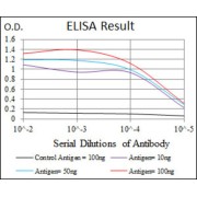 ELISA Analysis. Red: Control Antigen (100ng); Purple: Antigen (10ng); Green: Antigen (50ng); Blue: Antigen (100ng).
