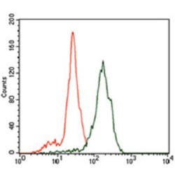 DNA-Binding Protein Inhibitor ID-2 (ID2) Antibody