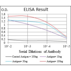 Interleukin 2 Receptor Alpha (IL2RA) Antibody