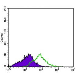 Integrin Alpha IIb / CD41 (ITGA2B) Antibody